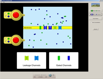 Membrane Channels