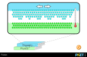 Screenshot of the simulation Friction