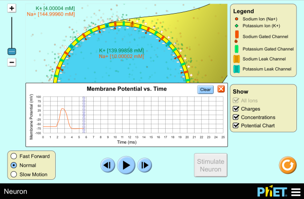 Neuron Screenshot