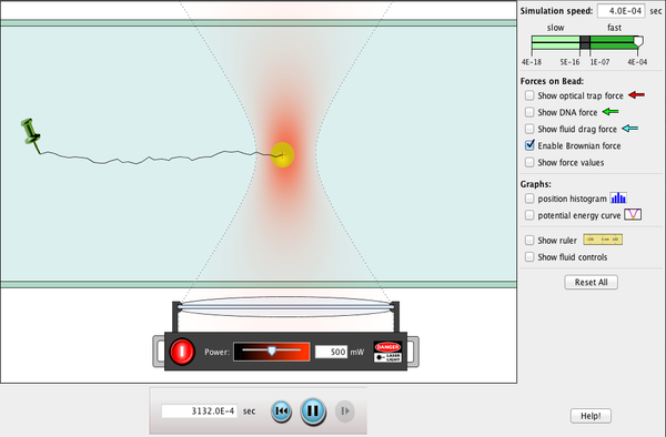 Stretching DNA Screenshot